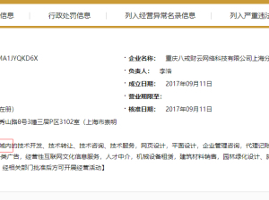 深入剖析重庆猪八戒网络的优缺点 真正的网络信息咨询指南