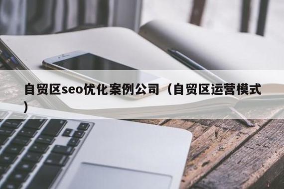 自贸区seo优化案例公司